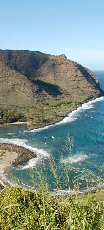 coconut island webcam|molokai webcam.